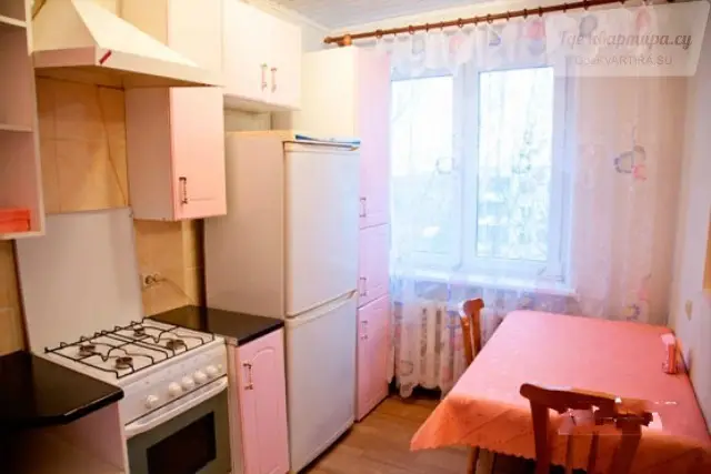 улица Челюскинцев, 19